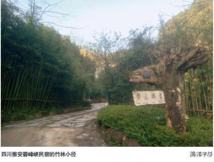 pg电子_首页官网入口